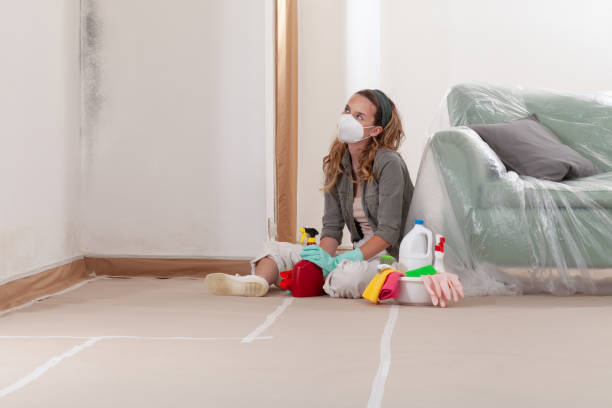 Reliable Black Mold Remediation contractor in Coinjock, NC by 24 Hour Mold Removal